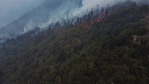Fire in the forest aerial view. Cinematic aerial shot fire in the forest.