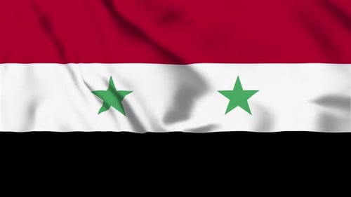 Syrian National Flag Waving Seamless Loop Animation
