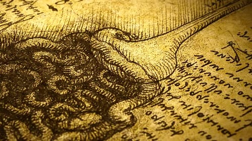 Anatomie-Kunst