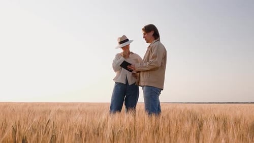 Farmers Discuss Crops in Sunny Wheat Field