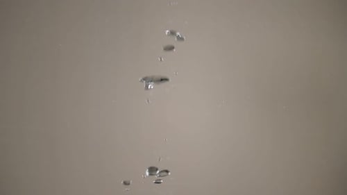 Green Plum Falling