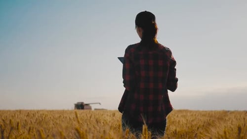 Two Farmers Talking in a Wheat Field Against Blue Sky. Team Farmers Stand in a Wheat Field with