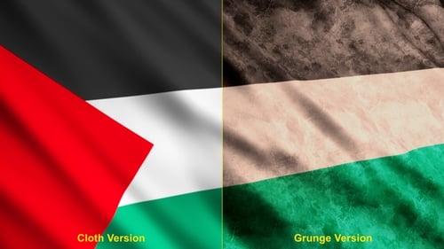 Palestine Flag Waving Animation Clean and Grunge Versions