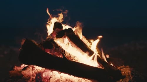Fire of a Bonfire Made on the Beach By the Sea
