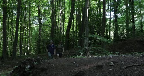 Two men hiking in the woods