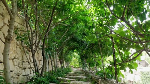 Un beau jardin dans une zone urbaine avec des ruisseaux, des fleurs et des arbres