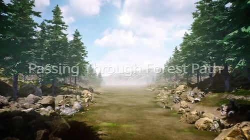 Passing Through Forest Path