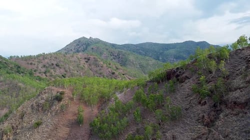 Aerial drone view of rugged and rocky mountain ranges with sparsely populated trees and plants in ex