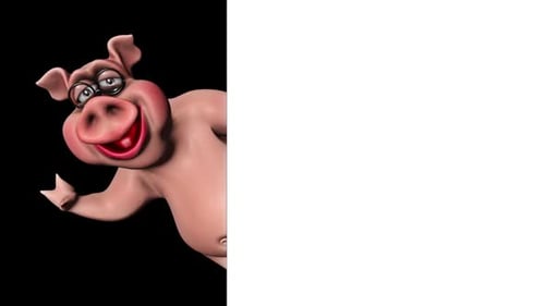 Cartoon Pig Show Ads Looped on White