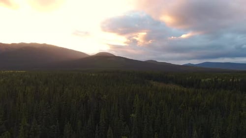 Vista da floresta cercada minhas montanhas ao pôr do sol