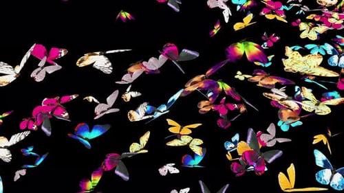 Colorful Butterfly Swarm Flying Transition