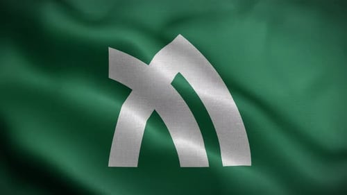 Realistic Textured Green Flag with White Abstract Emblem