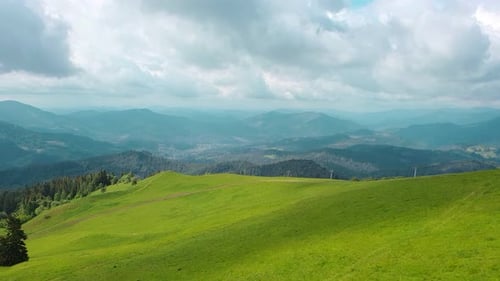 Aerial Drone View Mountains Covered with Green Grass and Green Trees. View of the Mountain Tops