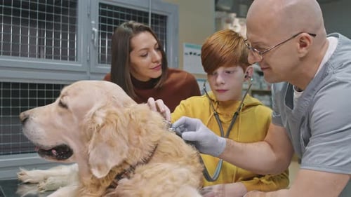 Vet Showing Teen How to Check Dog with Stethoscope