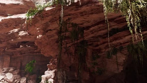 Inside a Limestone Cave with Plants and Sun Shine