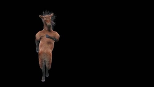 Funny Dancing Horse Character 3D Animation