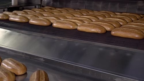 Loaf of Bread on the Production Line in the Bakery. Baked Loaf of Bread in the Bakery