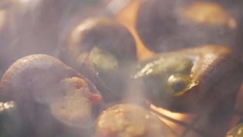 Snails Are Cooking on Grill Close-up