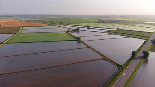 Luftaufnahme: Über Reisfelder fliegen, bewirtschaftetes Ackerland überschwemmtes Ackerland