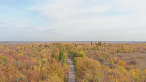 Autumn Country Road