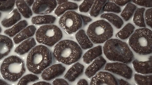 Chocolate Cereal Rings Floating in Milk Close-Up