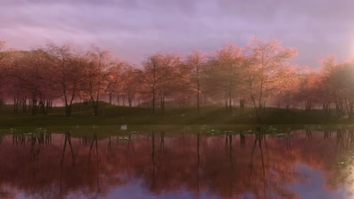 Frühlingskirschblüten auf rosa Hintergrund mit Wasserreflexion