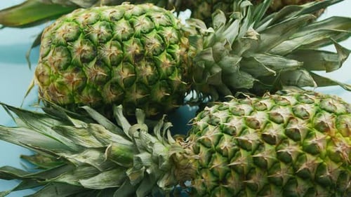 Fresh Pineapples on a Blue Shiny Surface