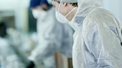 Workers Sorting Garbage on a Conveyor Belt