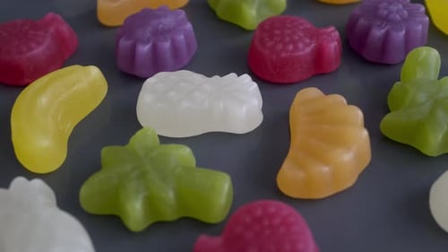 Assorted Fruit Shaped Gummy Candies on Gray Surface