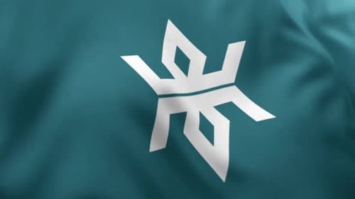 Waving Fabric Flag Logo Reveal Animation