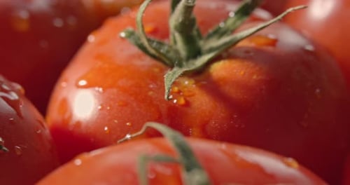 Fresh Tomatoes Close Up with Water Droplets