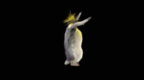 78 Pinguin tanzend HD