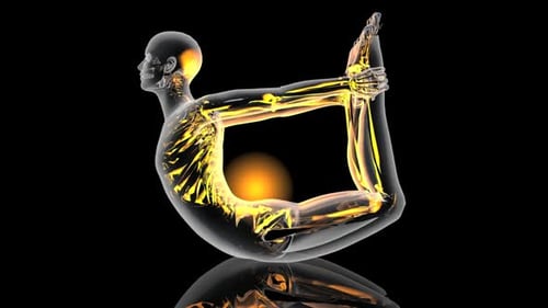 Futuristic Transparent Human Body in Yoga Pose Animation