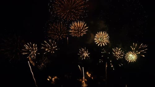 Spectacular Fireworks Display Bursts in the Dark Night