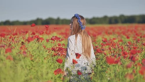 Ukrainian Girl Walking Through a Red Poppy Field