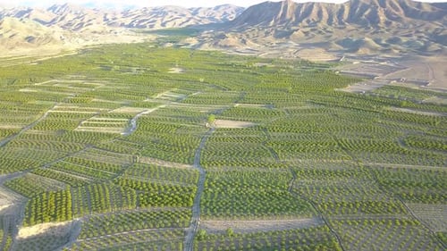 Flying above the farms in the spring. Breathe clean and fresh air.Watch the timeless green.