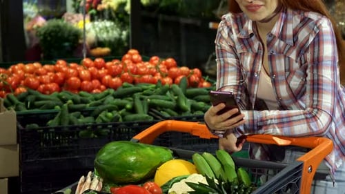 Woman with Shopping Cart Looking at Mobile Phone