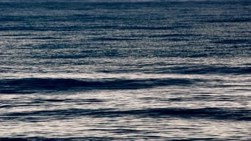 Meer