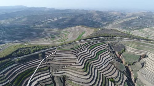 Aerial View of Terraced Farm Field Mass Production During Summer Dry Season