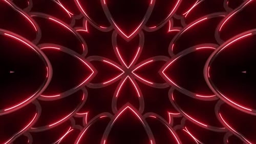Farbige Neonblumen-Pack 4k