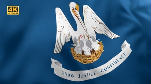 Louisiana State Flag Waving with Pelican and Chicks in Realistic Fabric Motion