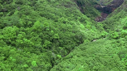 Aerial View Flying Above Lush Green Tropical Rain Forest Mountain the Rainy Season on National Park