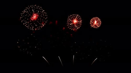 Viele blinkende bunte Feuerwerke mit schwarzem Hintergrund feiern Neujahr.