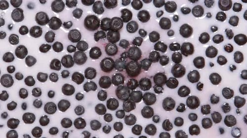 Blueberries Poured Over With White Milk, Close Up
