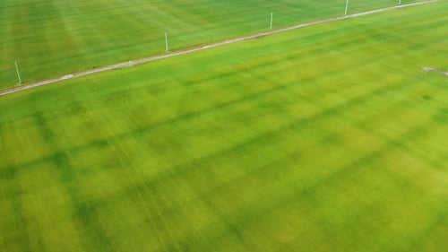 Aerial Fly Over a Green Lawn. Fresh Green Grass Shot From Top View. Tilt Camera Move