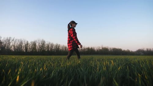 Farmer Girl Walking Beside Green Wheat Field Enjoying the Sun. Female Farmer in Plaid Shirt and Hat