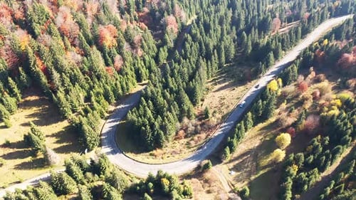 Cars Drive Along the Highway Into the Distance of the Carpathian Mountains in a Fir Forest in