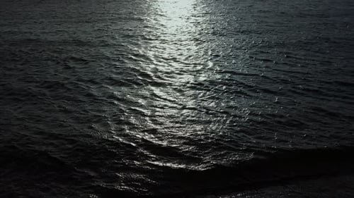 The Night Sea Reflects the Bright Moonlight