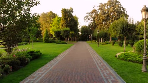 Moving Backward on a Park Alley