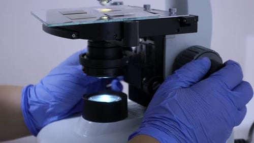 Gloved Hand Adjusting Microscope in Laboratory